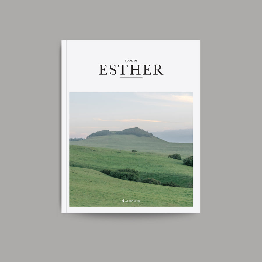 NEW The Book of Esther